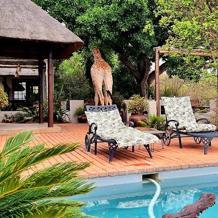 Graceland Eco Retreat Magoebaskloof Extérieur photo