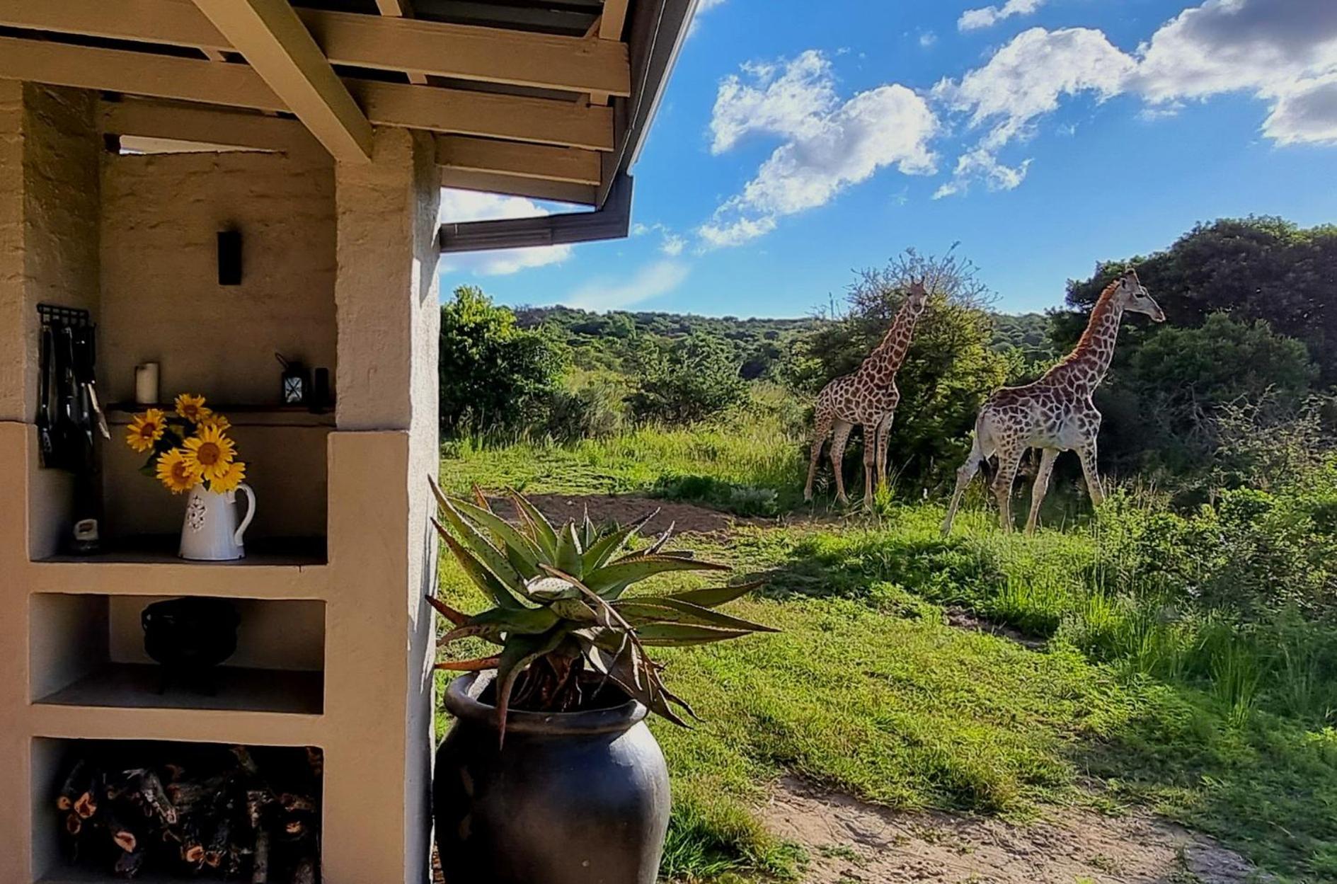 Graceland Eco Retreat Magoebaskloof Extérieur photo
