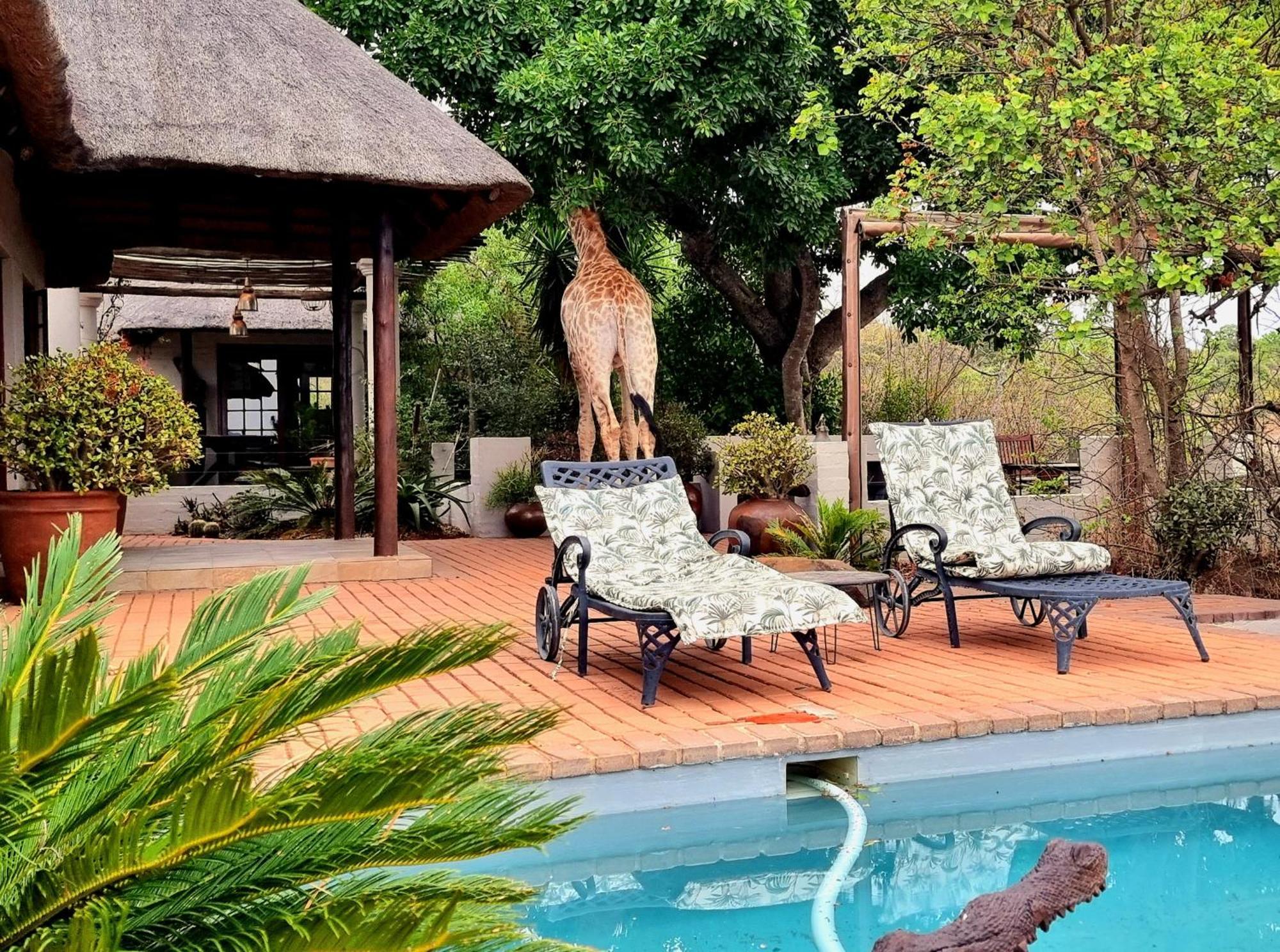 Graceland Eco Retreat Magoebaskloof Extérieur photo